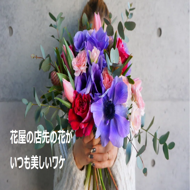 花屋の店先の花がいつも美しいワケとは？今日から始める花のある生活 
