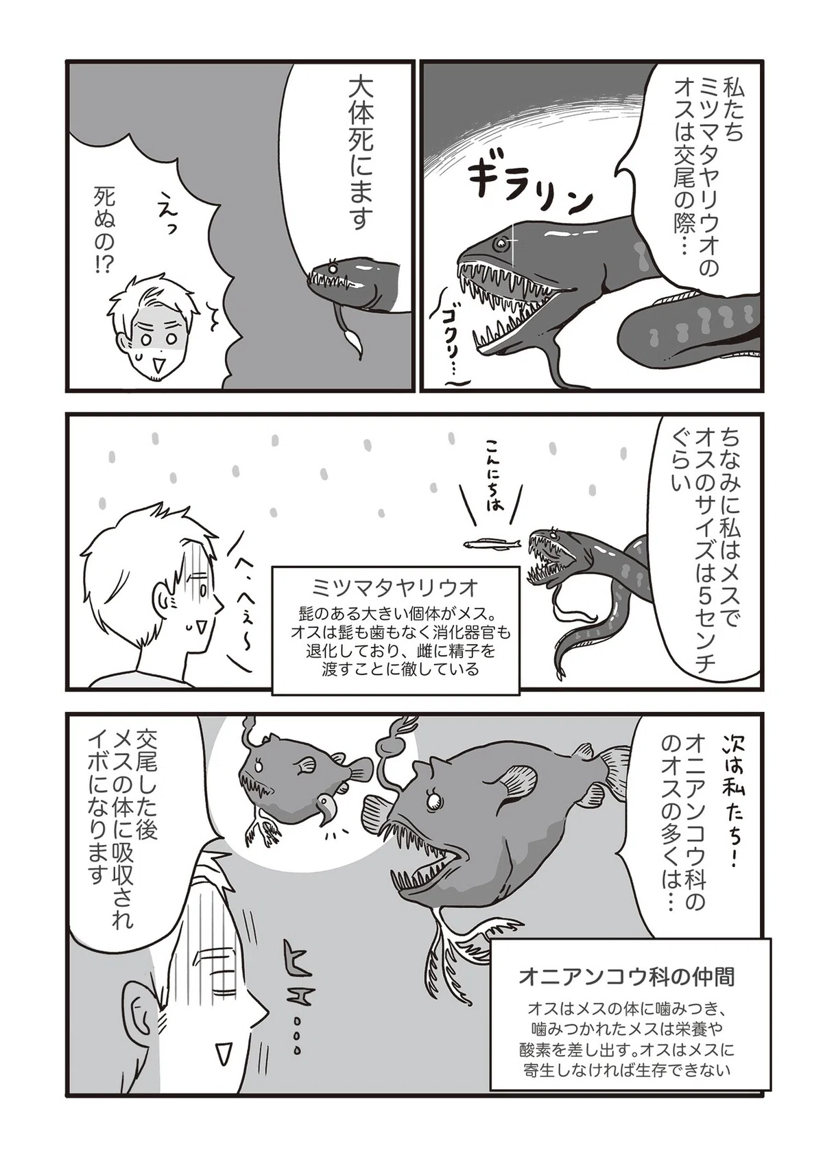 画像12