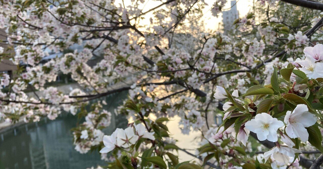 リクルートを卒業するにあたって