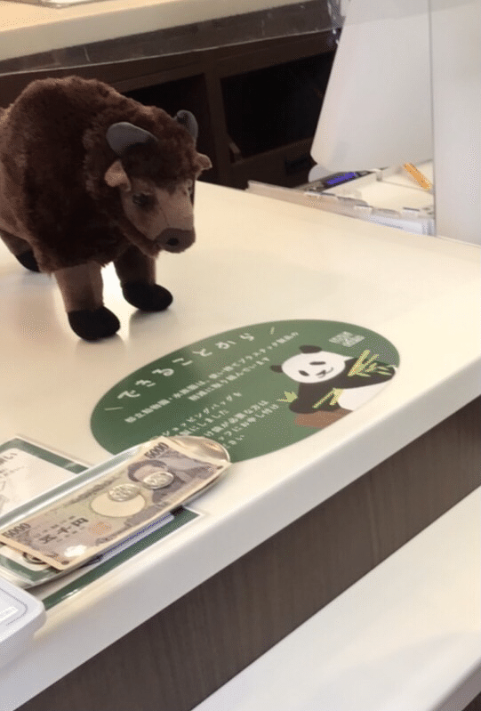 バイソン 入荷しました｜町のピアノ教室