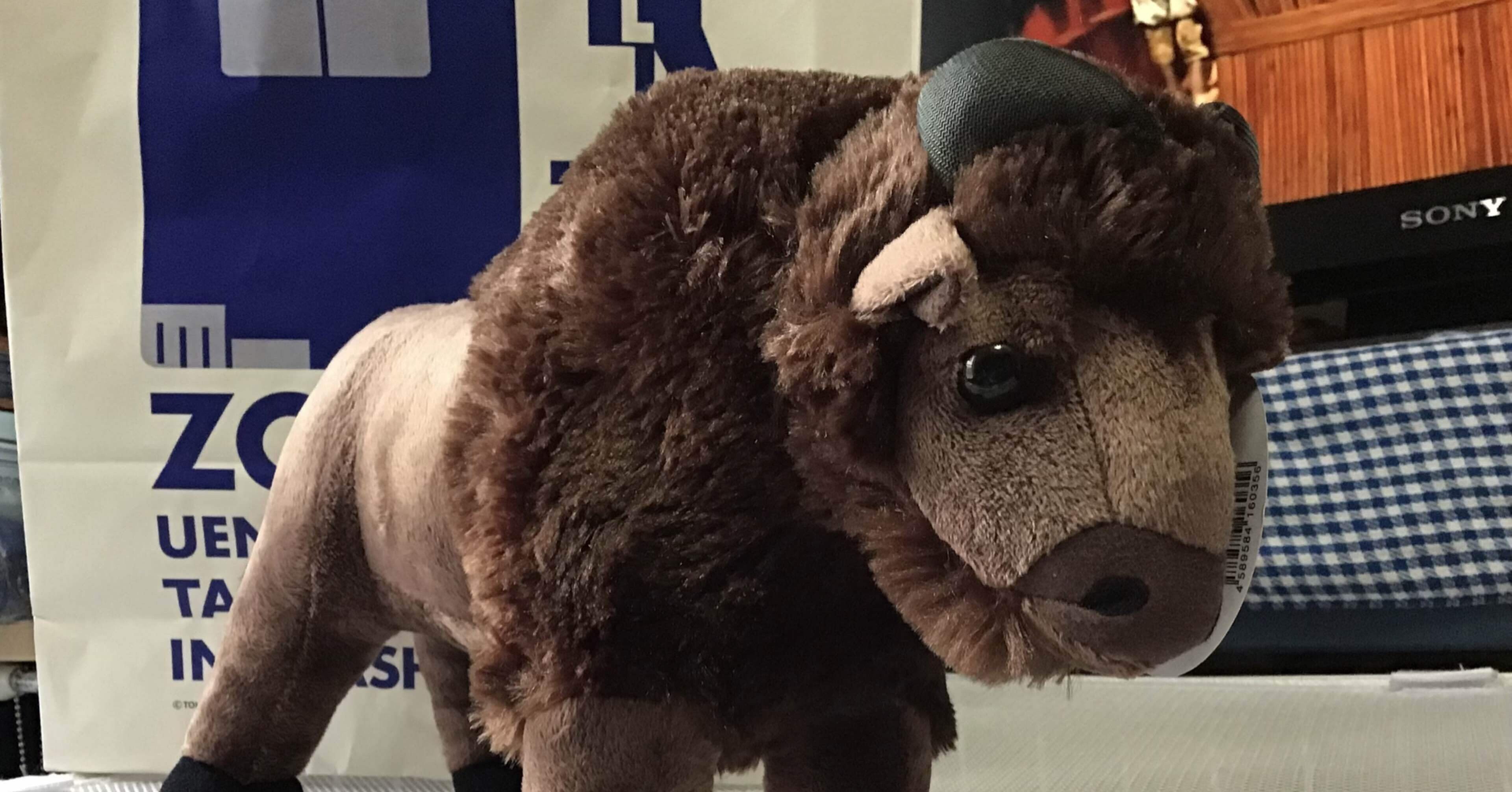 80916e4fae165070caada7584b0e77