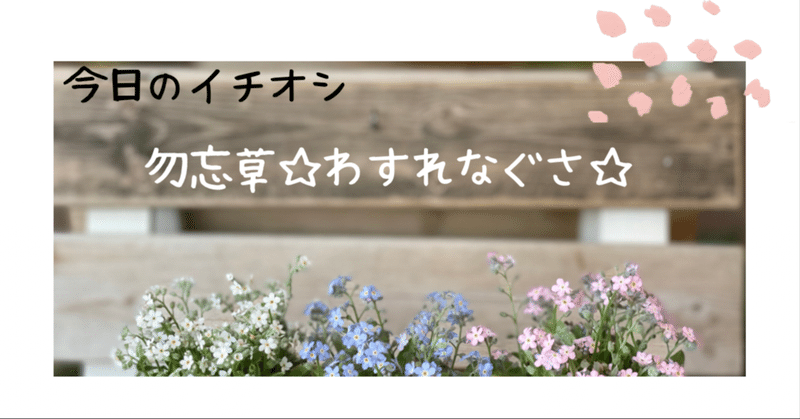 木の下の花屋 Kazamidoriの22年3月のノート Note