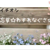 はじめまして 木の下の花屋 Kazamidoriです 木の下の花屋 Kazamidori Note はじめまして 木の下の花屋 Kazamidoriです 木の下の花屋 Kazamidori Note