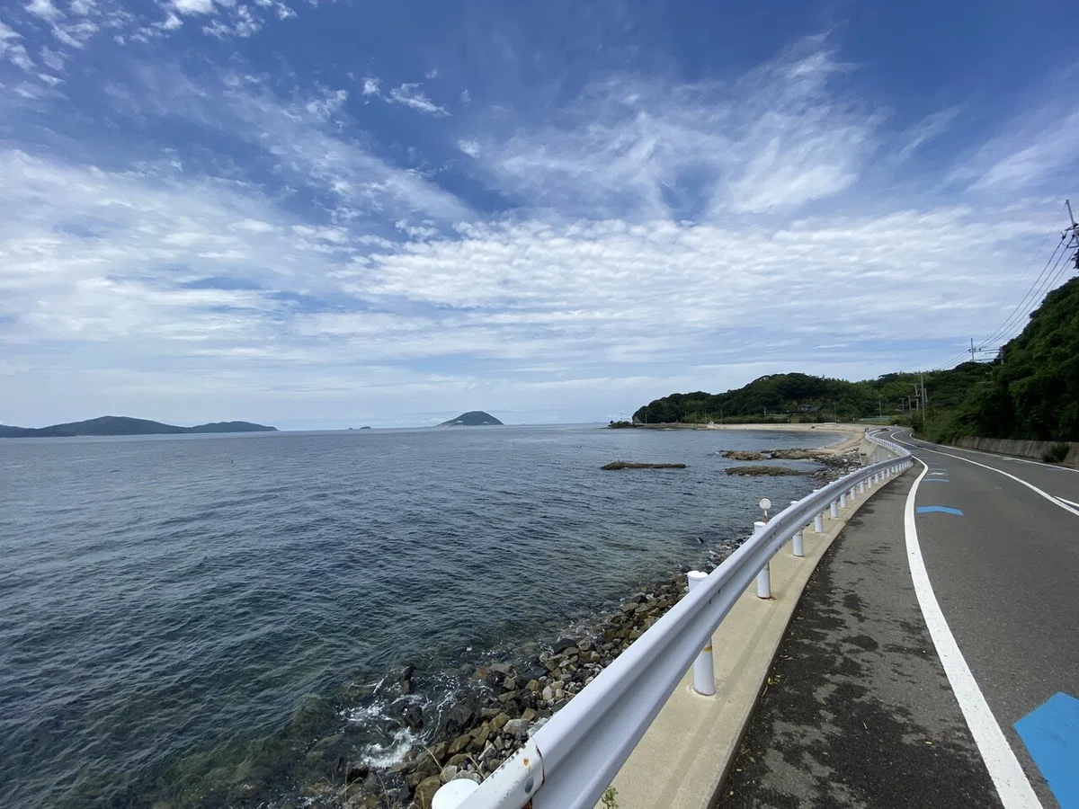 画像5