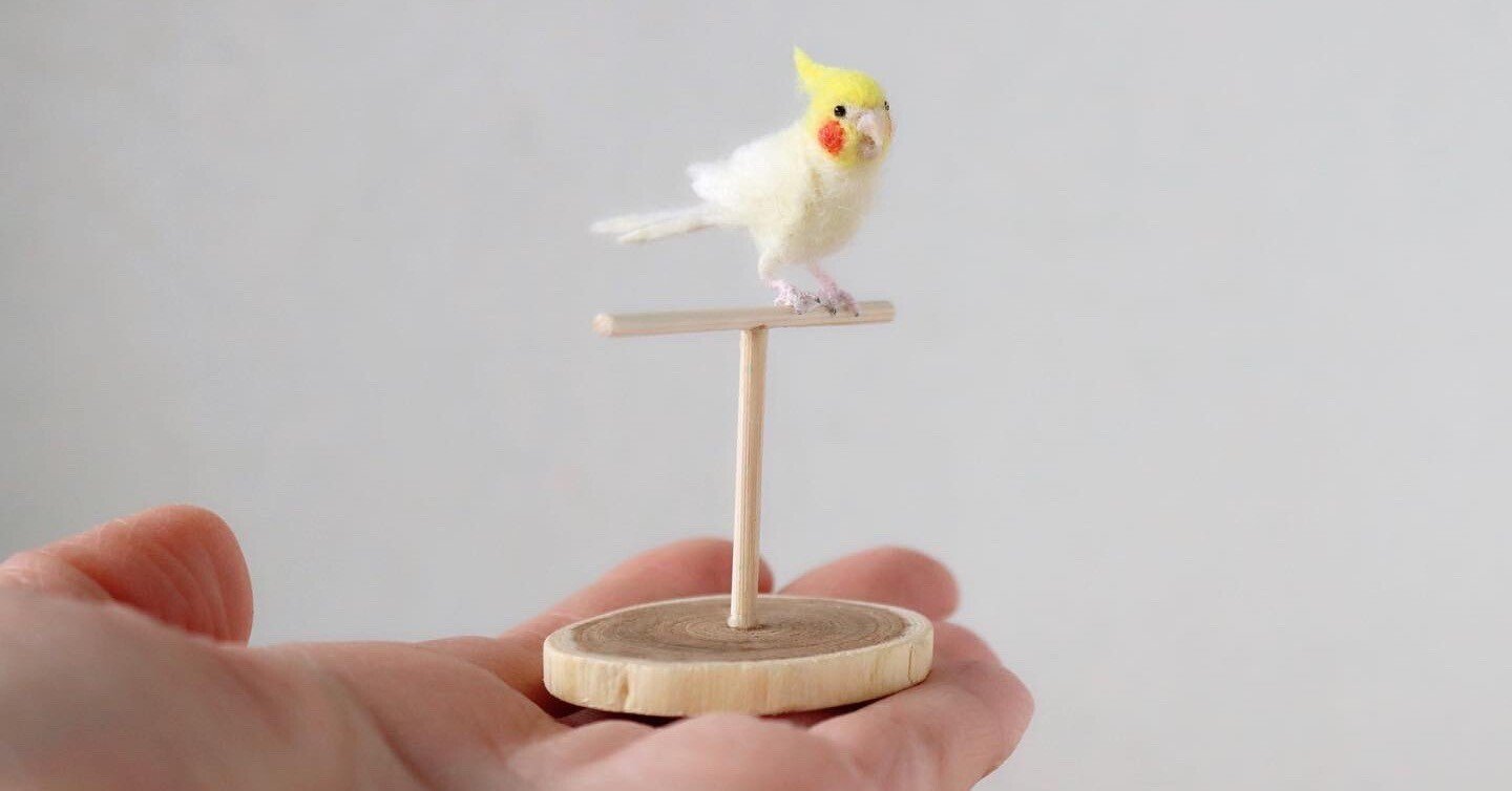 ミニチュアオカメインコさん｜kotolier*コトリエの絵本のような羊毛