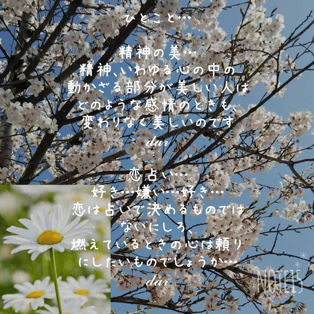 花言葉ひとこと の新着タグ記事一覧 Note つくる つながる とどける