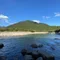 屋久島の深い静かな森で考えたこと