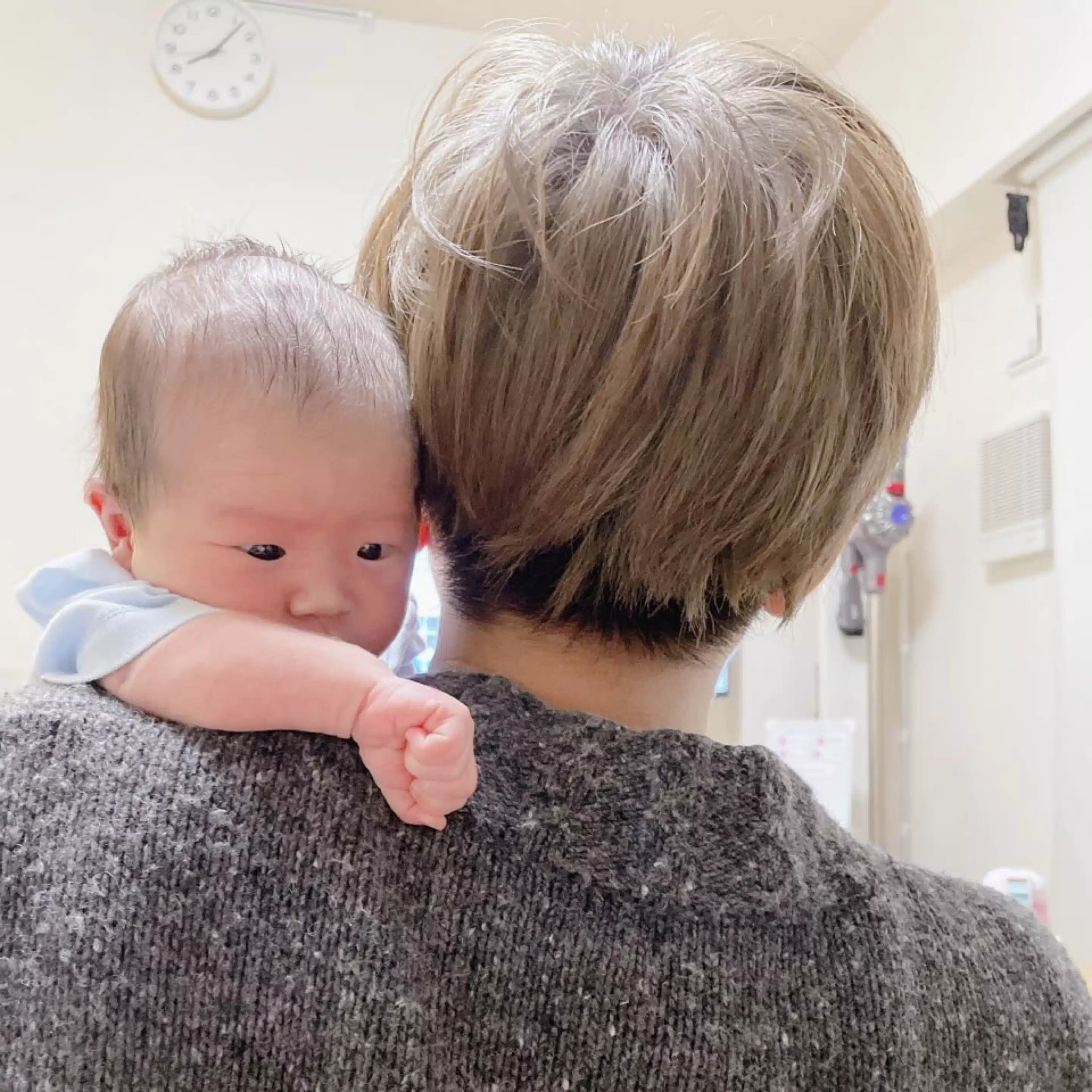 裏ト からし《うらと からし》