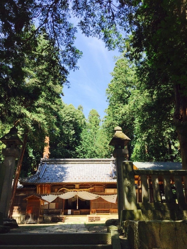 坂城町の坂城神社。創建がとても古いそうで、鎮守の森はとても立派でした。