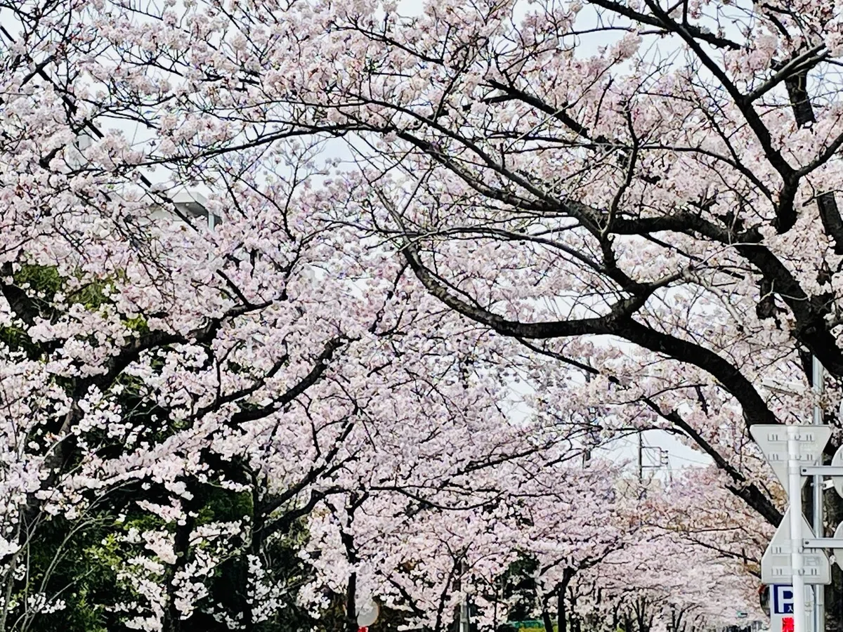 画像7