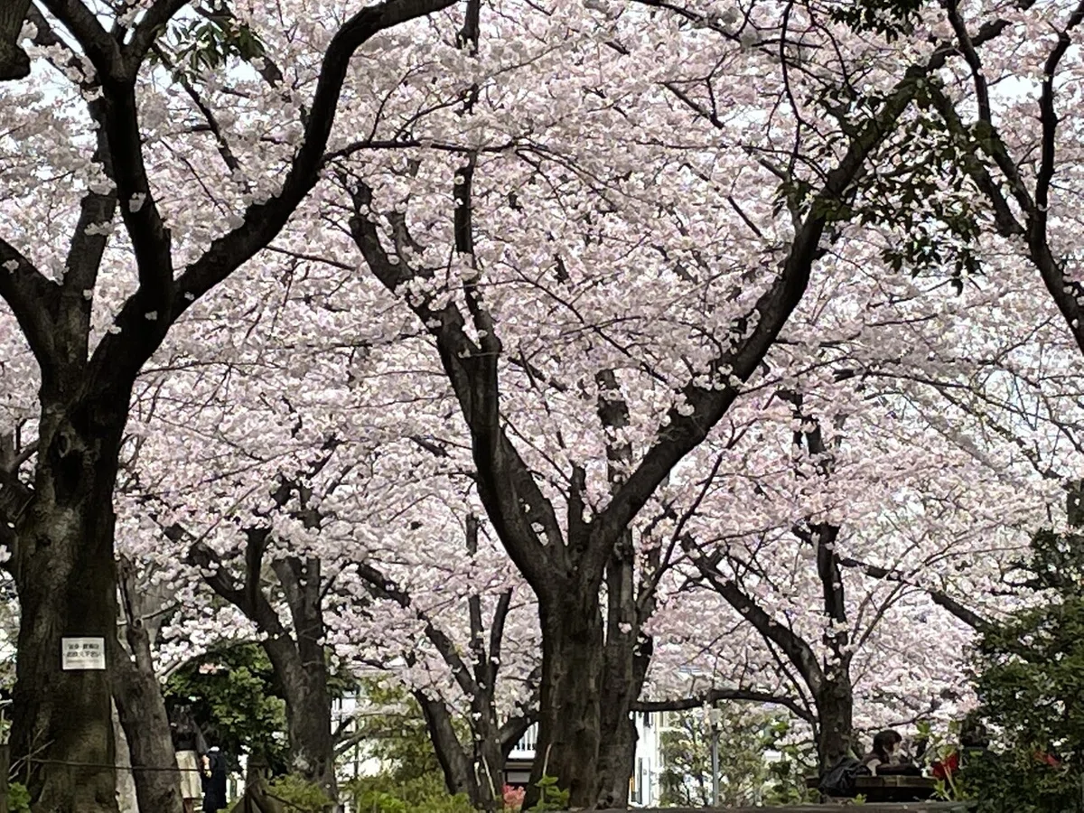 画像8