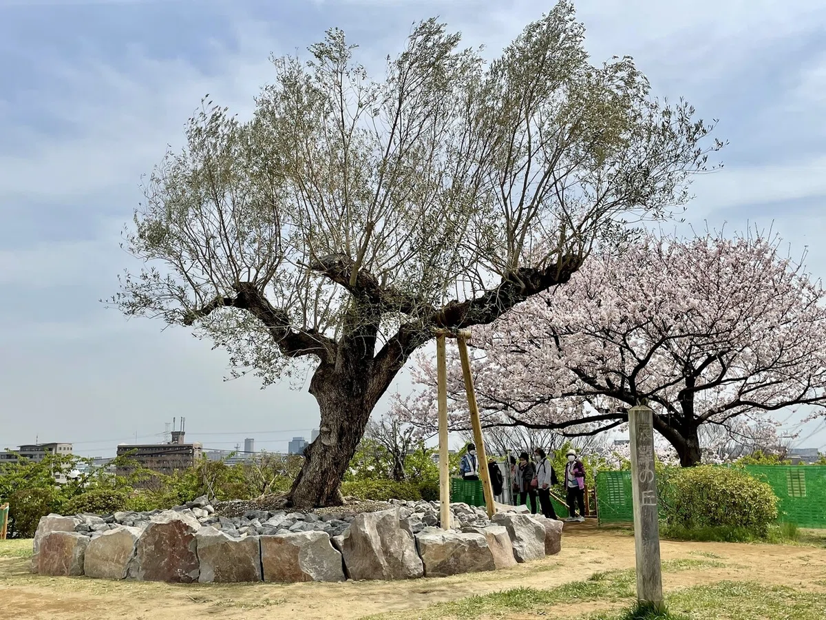 画像9