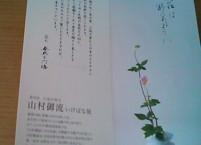 花は野にあるように」―山村御流いけばな展｜tomoka｜文と花