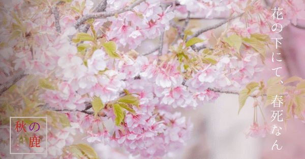 花の下にて、春死なん