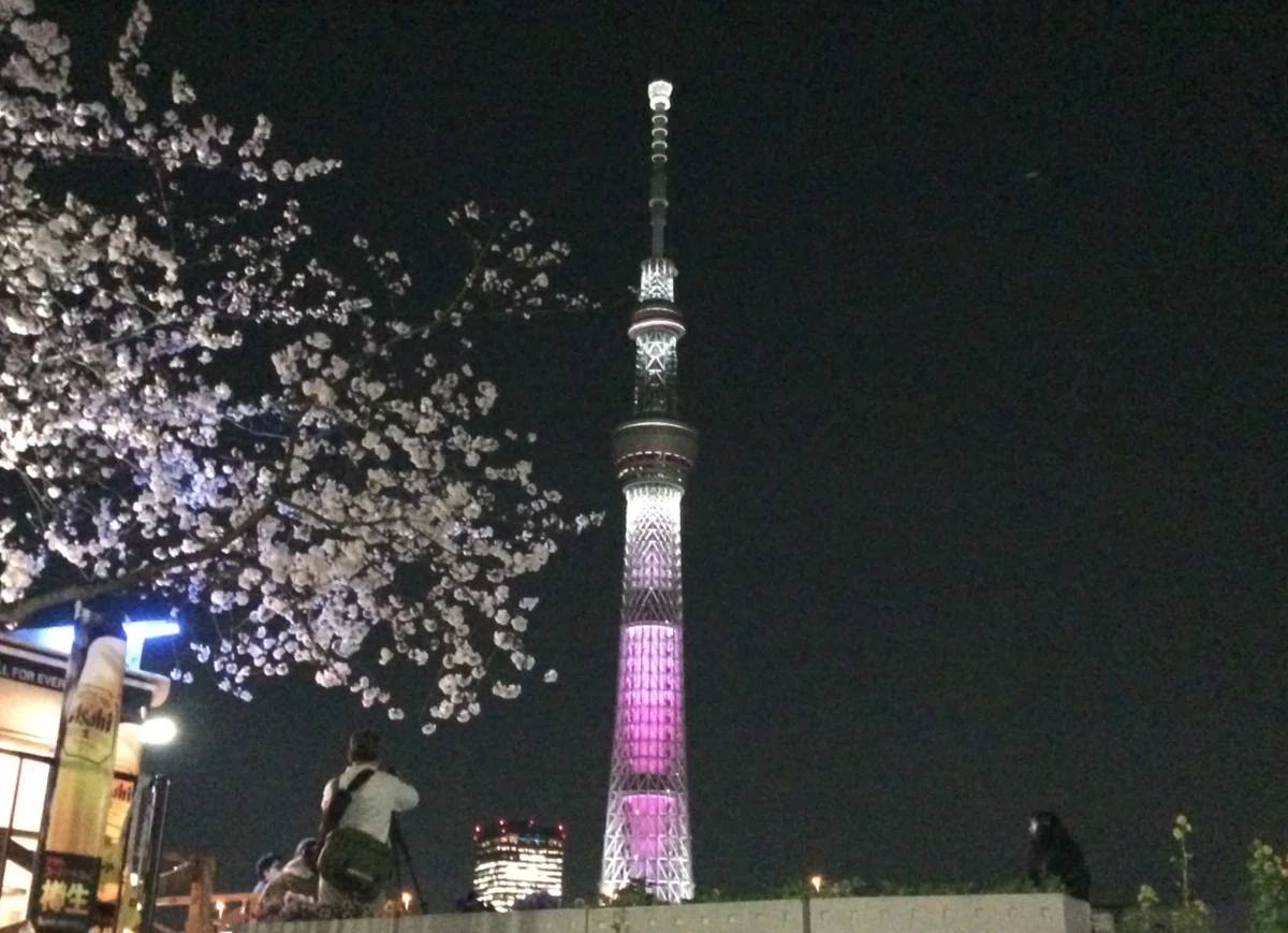 スクリーンショット 2022-04-01 12.43.56