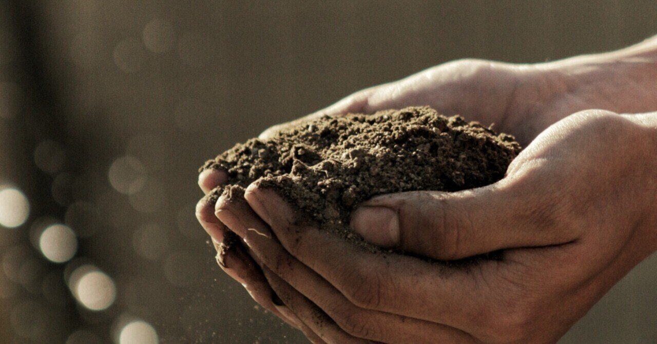 なぜ土はふかふかしているの 目に見えない土の中のはたらきものたちの話 森に あう サントリー 天然水の森 なぜ土はふかふかしているの 目に見えない土の中のはたらきものたちの話 森に あう サントリー 天然水の森