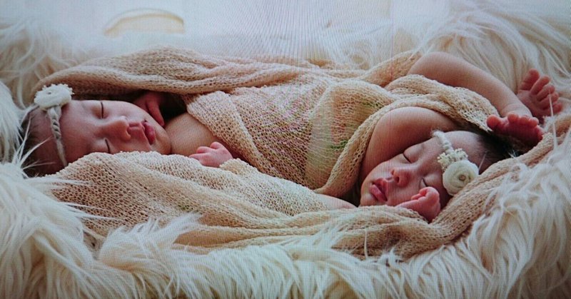 双子パパ の新着タグ記事一覧 Note つくる つながる とどける