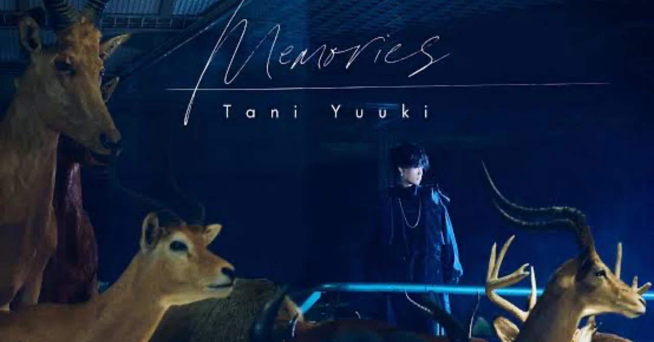 TaniYuuki パーカー 【公式通販】