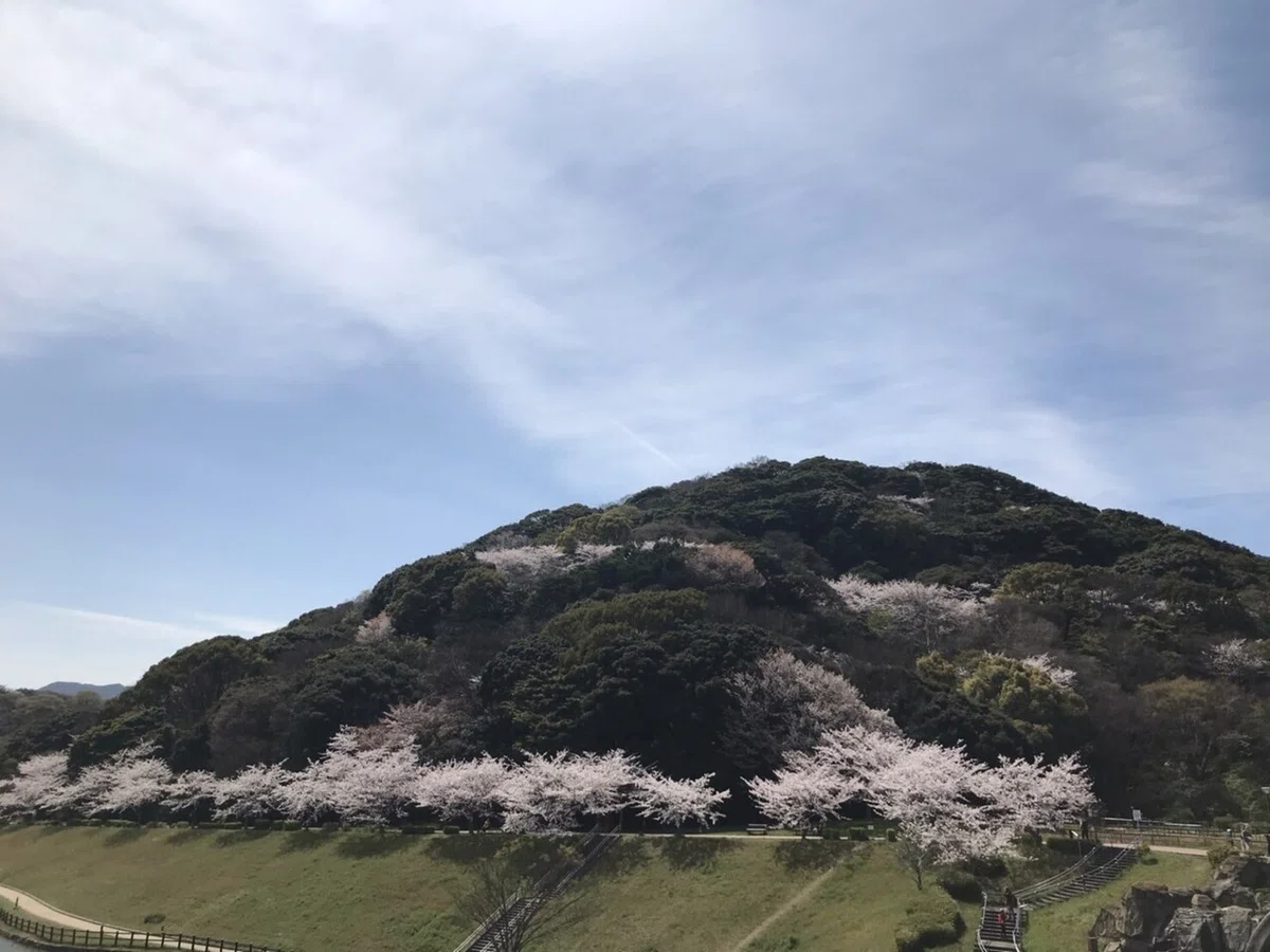 画像8