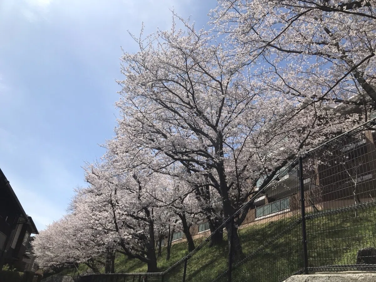 画像12