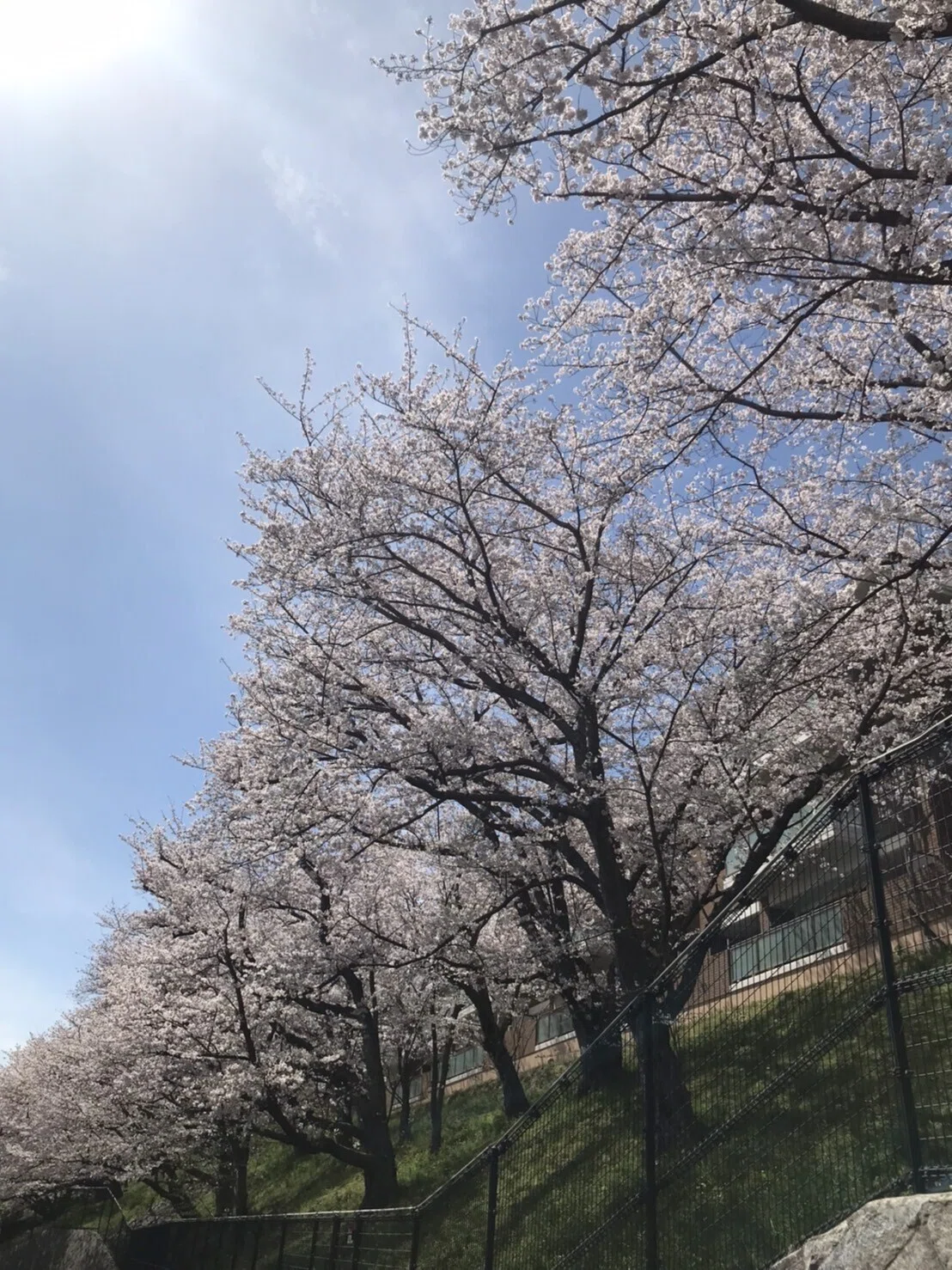 画像13