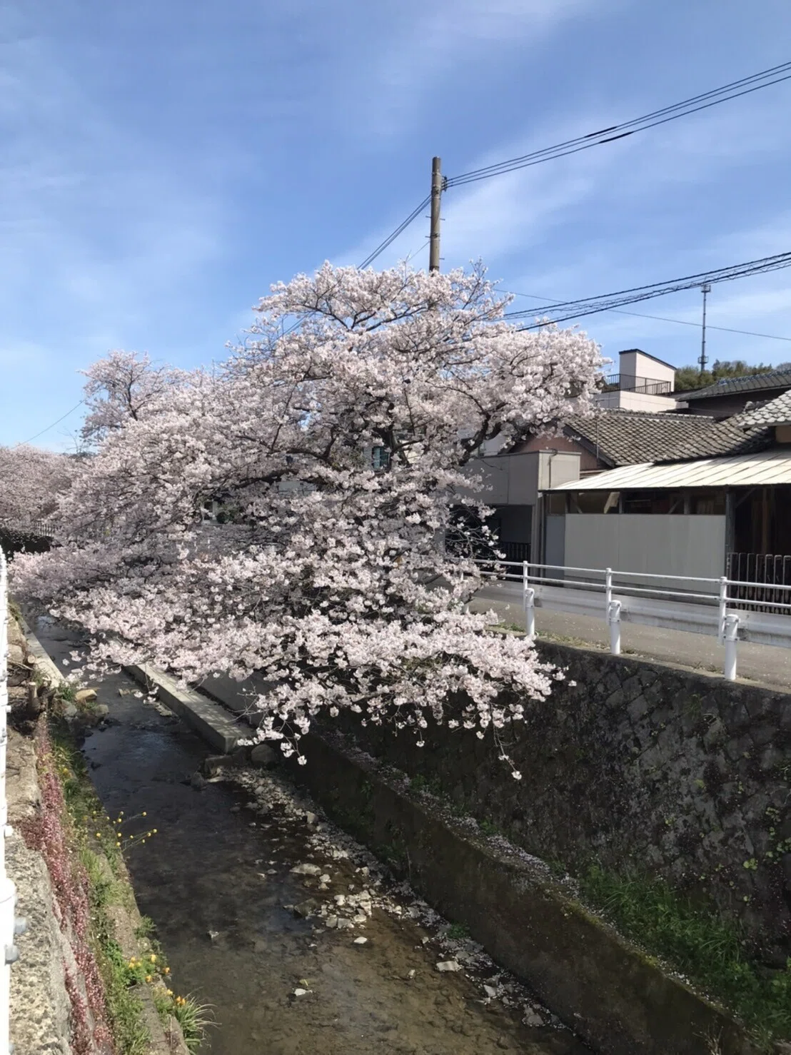 画像16