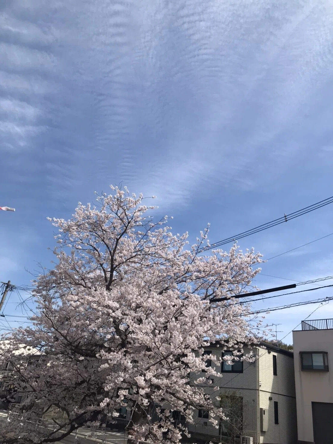 画像18