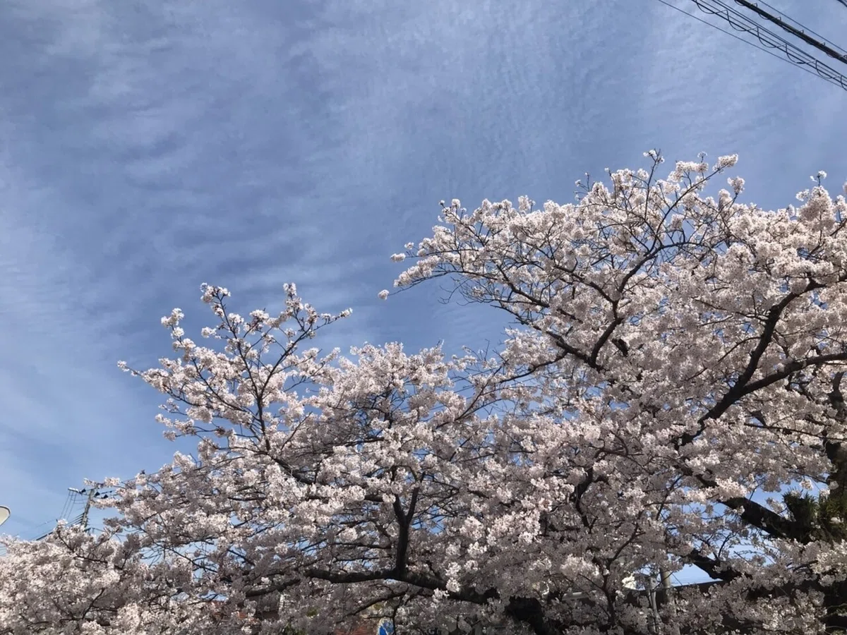 画像22