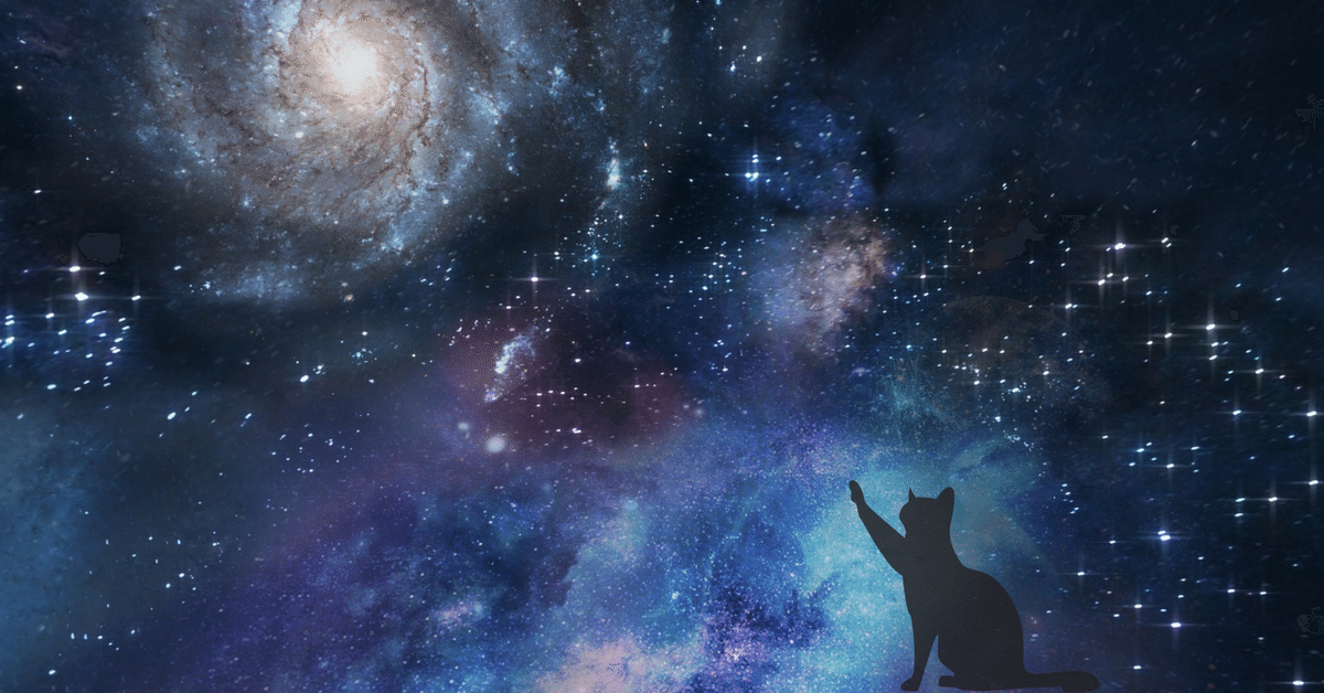 宇宙猫は輪廻の夢を見る🪐🐈‍⬛｜xu