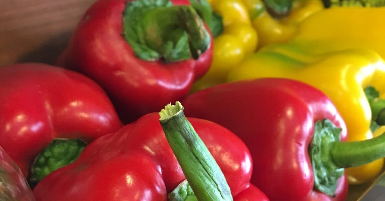 Vitamin C for Muscle Maintenance!｜yosh