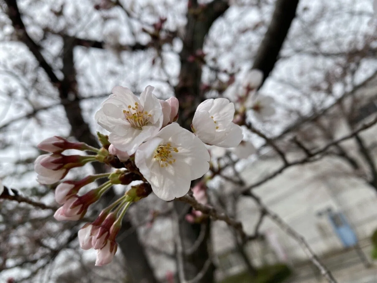 画像23