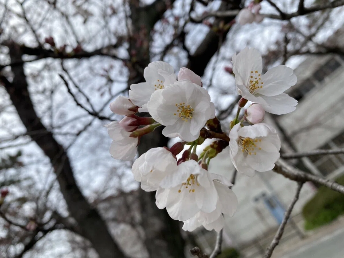 画像24