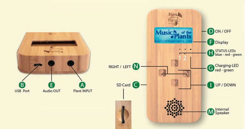 植物の音楽 - バンブー｜Music of the Plants 植物の音楽｜note