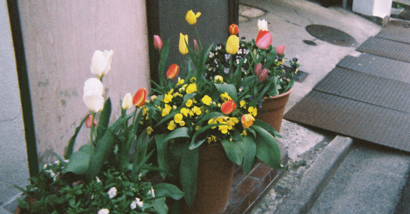 4月1日 晴れ