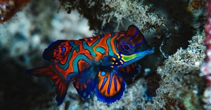 いろはがるた の新着タグ記事一覧 Note つくる つながる とどける