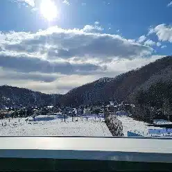 周　萌