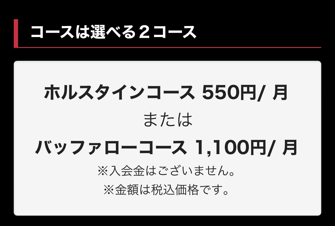 GRANRODEO グラロデ ロデオ組 ファンクラブ限定 会報等 GRANRODEO グラロデ ロデオ組 ファンクラブ限定 会報等