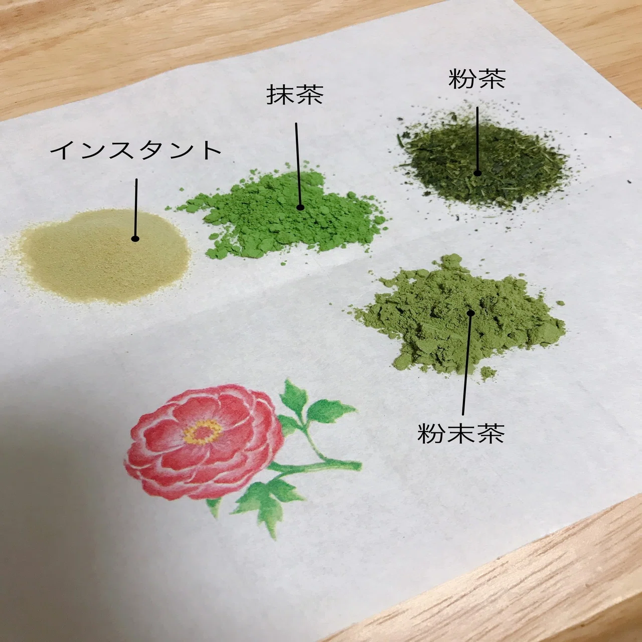 活動歴および当時の関連ビジュアル記録