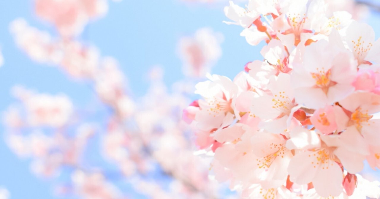 チカクを退職しました。