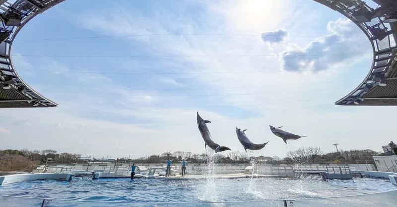 レポ 22 京都水族館 Haru Note レポ 22 京都水族館 Haru Note