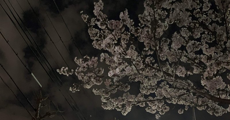 【空のかなた宛】桜より早かったあなたへ送る手紙