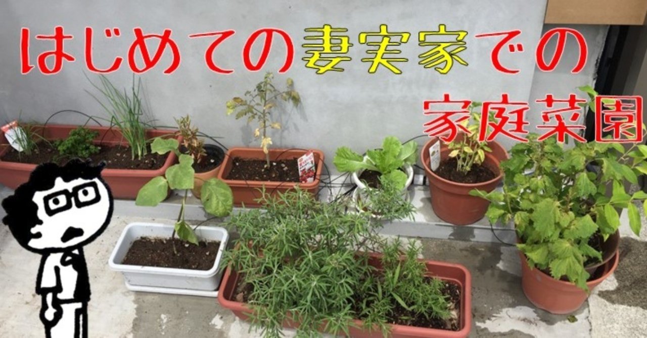 はじめての妻実家での家庭菜園 自動散水機で水やり楽チン アカ ヨシロウ Note はじめての妻実家での家庭菜園 自動散水機で水やり楽チン アカ ヨシロウ Note