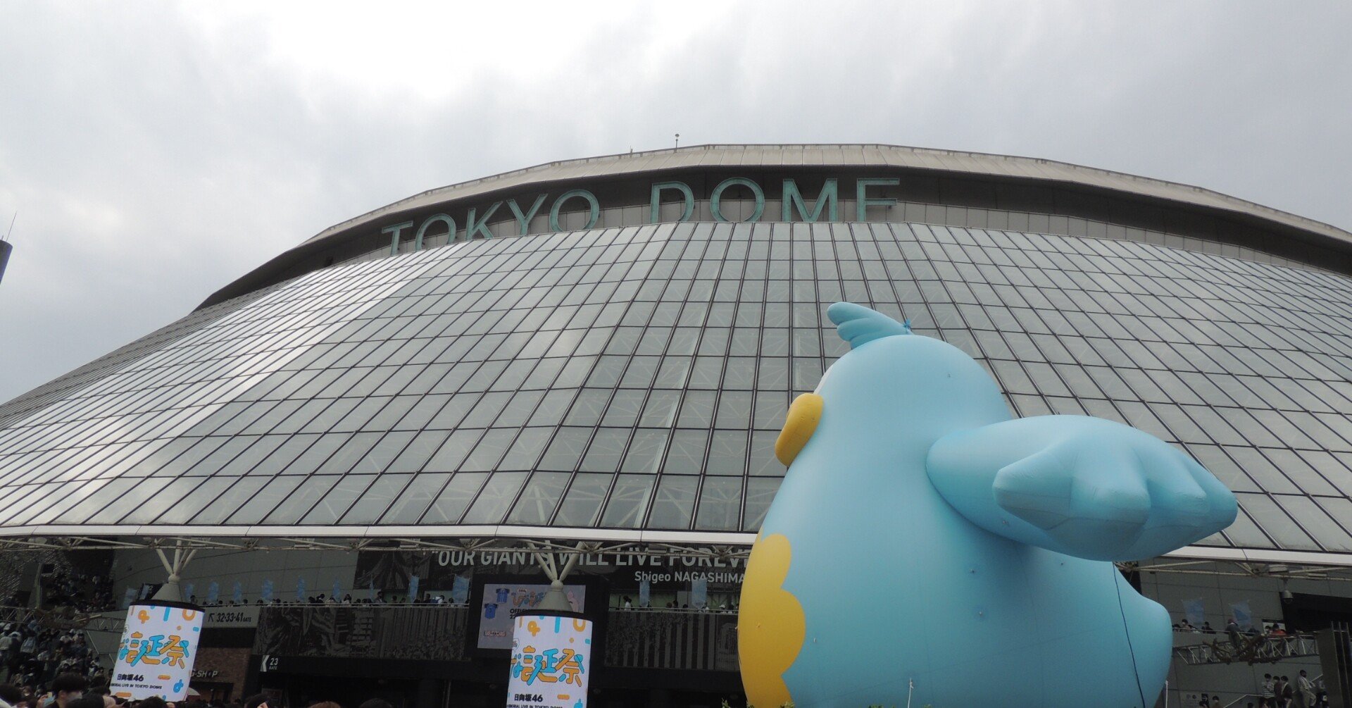 日向坂46 東京ドーム公演「3周年記念MEMORIAL LIVE ～3回目のひな誕祭