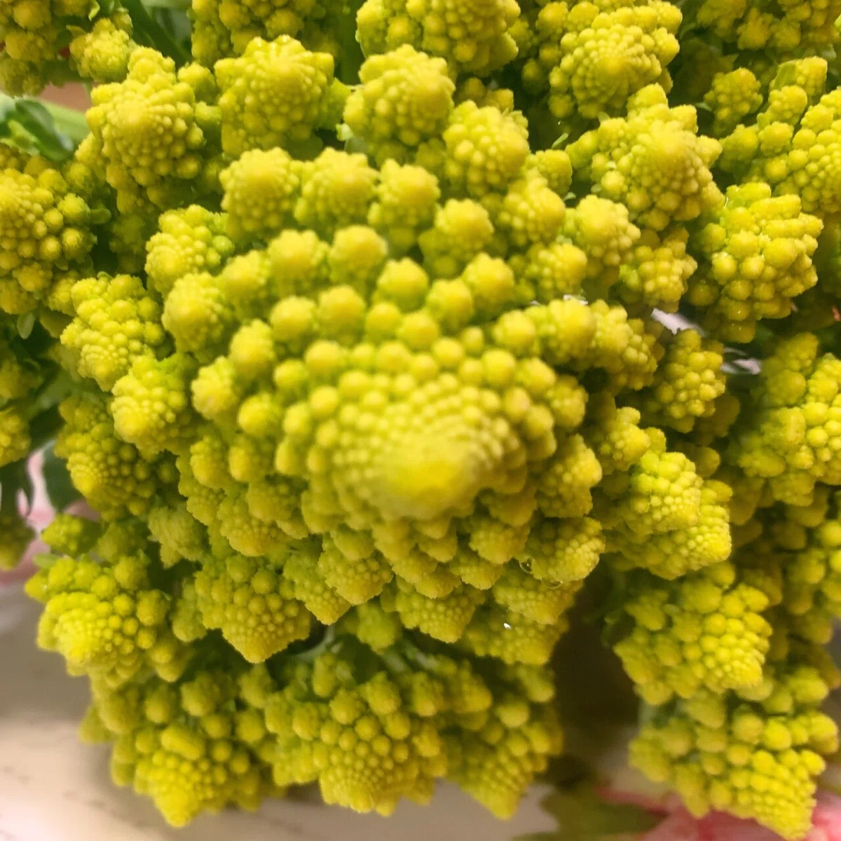 画像19