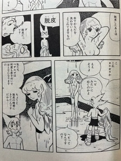 画像7
