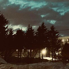 好きな詩『動物園の珍しい動物』天野忠｜いっき82