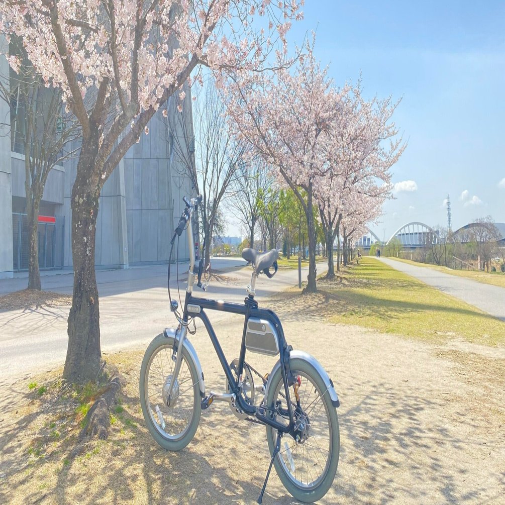 レンタサイクル お花見におすすめ豊田市の桜スポット巡り いぬかいしおり Note
