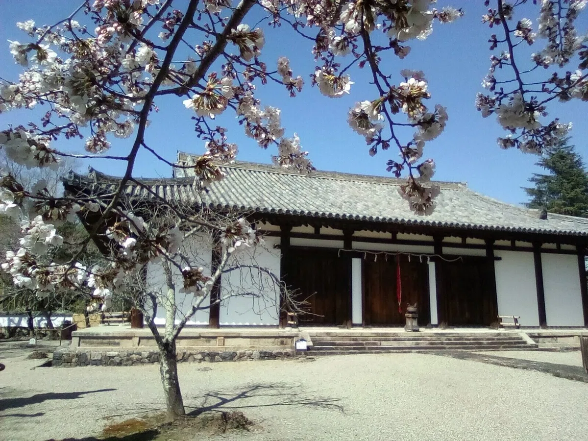 画像5