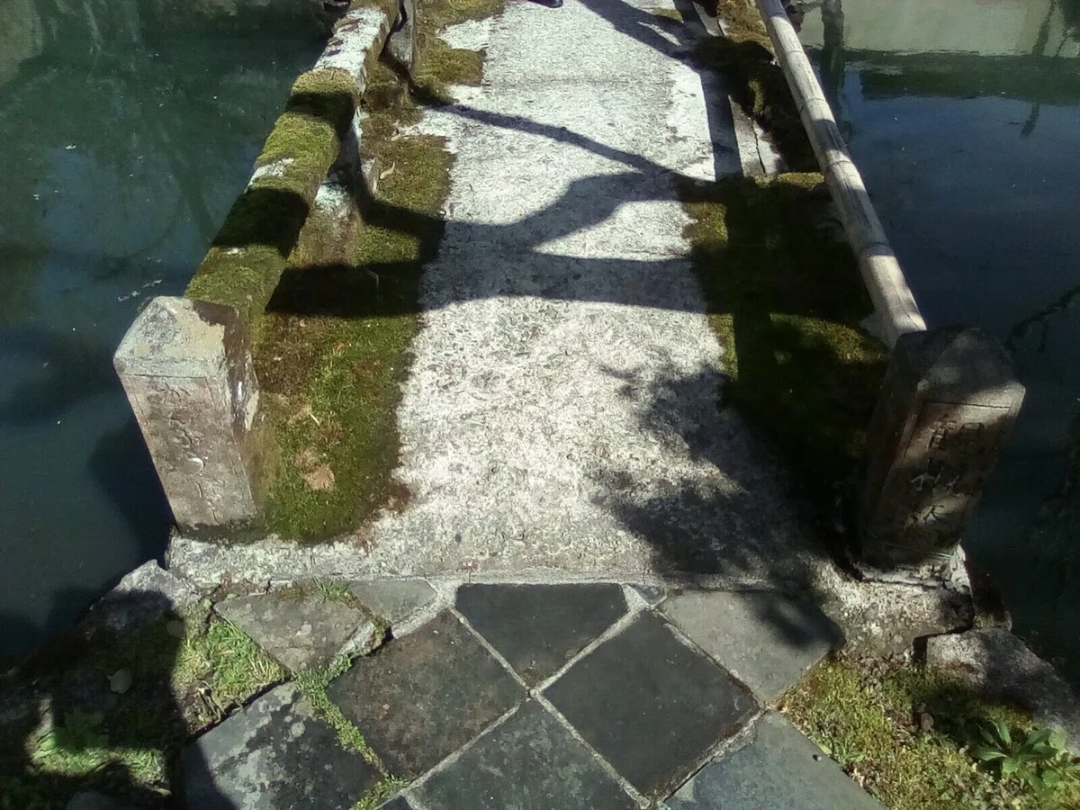 画像9