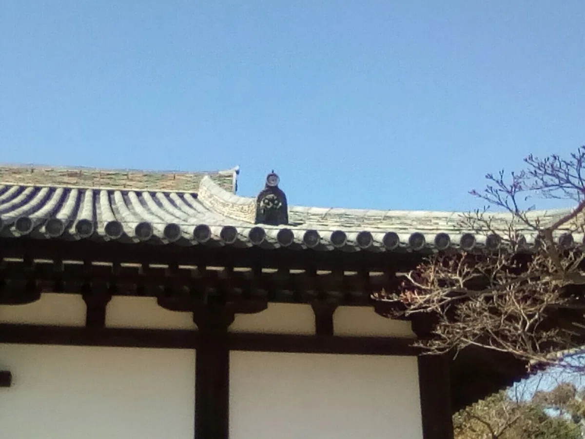 画像10